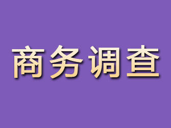 岚县商务调查